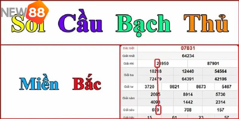 Giới thiệu về soi cầu Bạch thủ lô vip miền Bắc miễn phí hôm nay