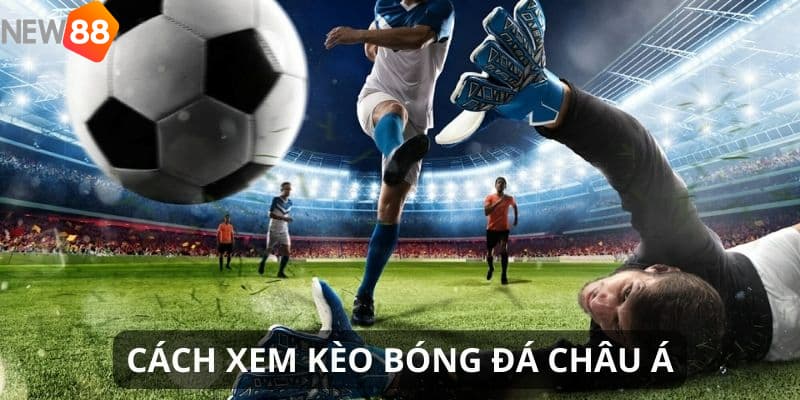 Chơi kèo châu Á hiệu quả: Bí quyết từ kinh nghiệm