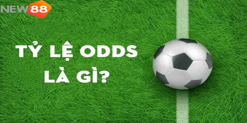 Odds là gì?