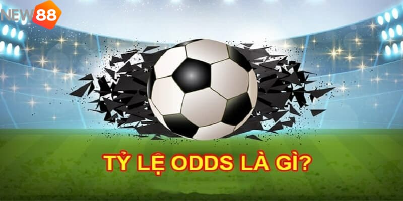 Khám phá các loại cá cược trong Odds là gì?