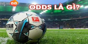 Odds là gì